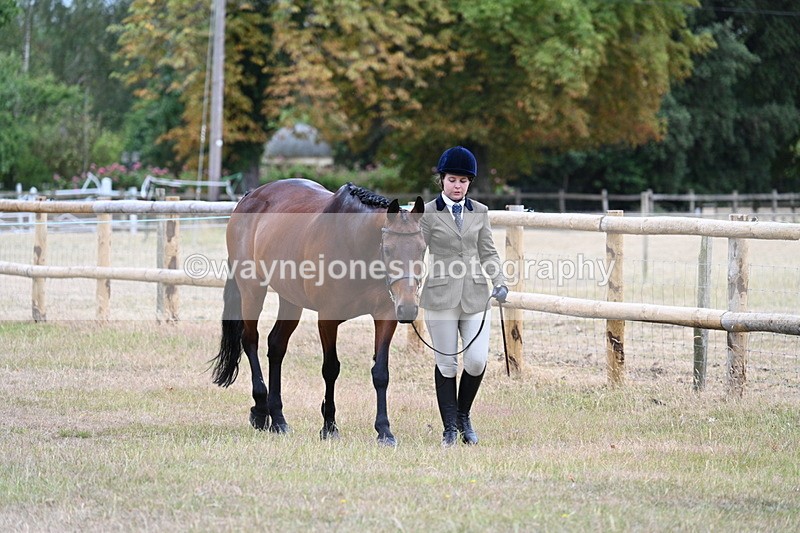 WJ7_8947 - Class 4a Prettiest Mare 14.2hh and over