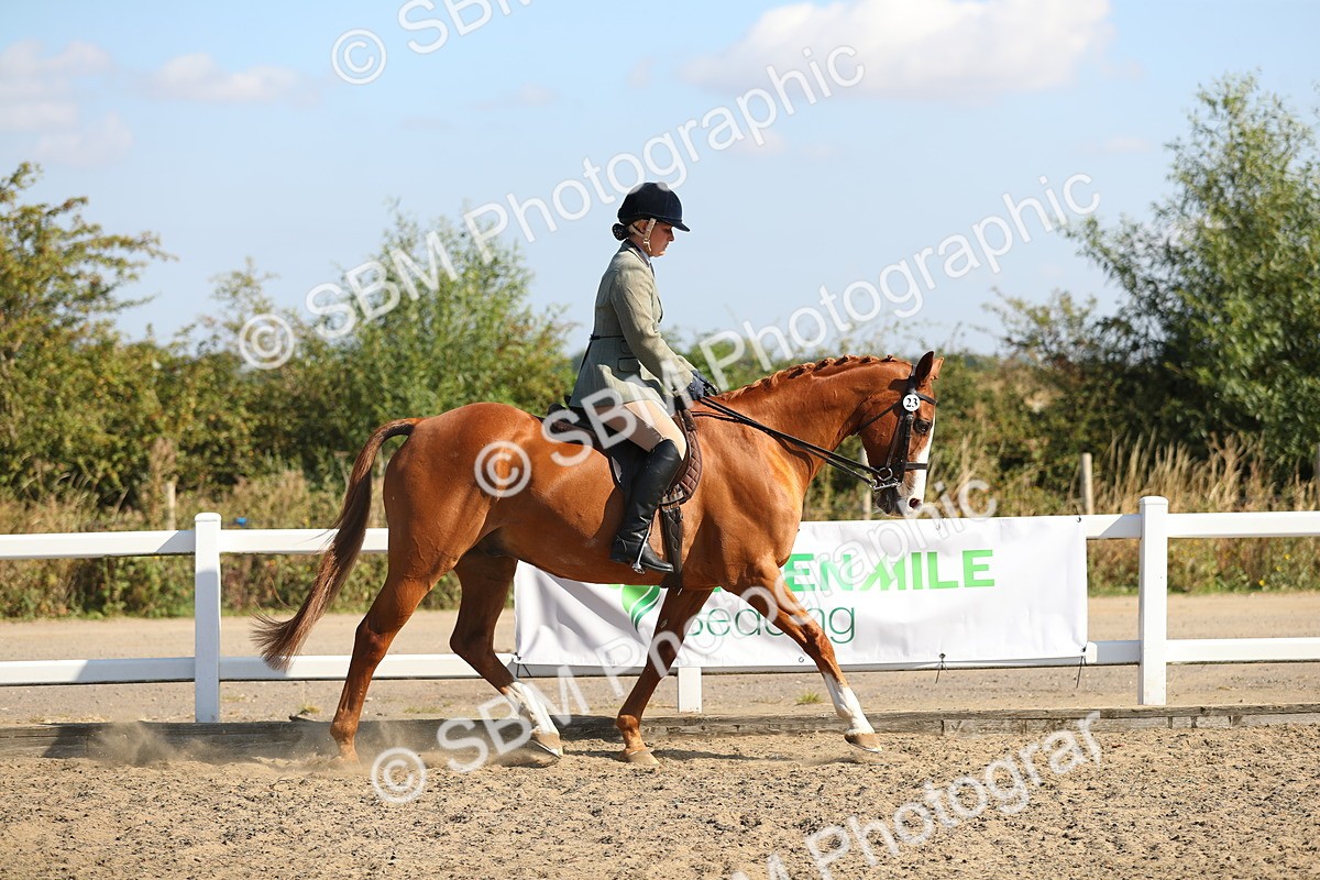 SBM_02194 - Class 43 Ridden Competition Horse/Pony