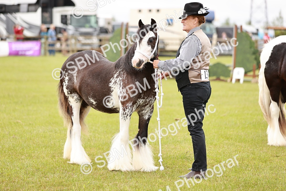 SBM_06000 - Class 39-41 TGCA In Hand and Ridden