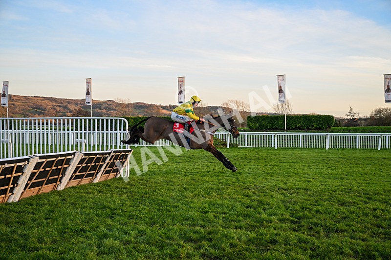 121225-Race 7-Kyntara-7309 - Race 7