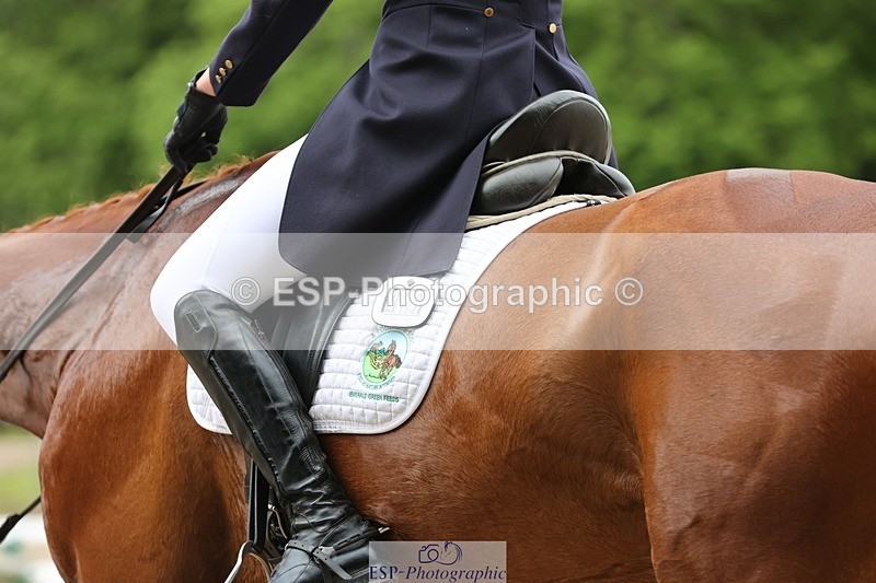 240523-102358-03297 - 212-RIVERSTOWN_ROYAL-Georgie_Frow