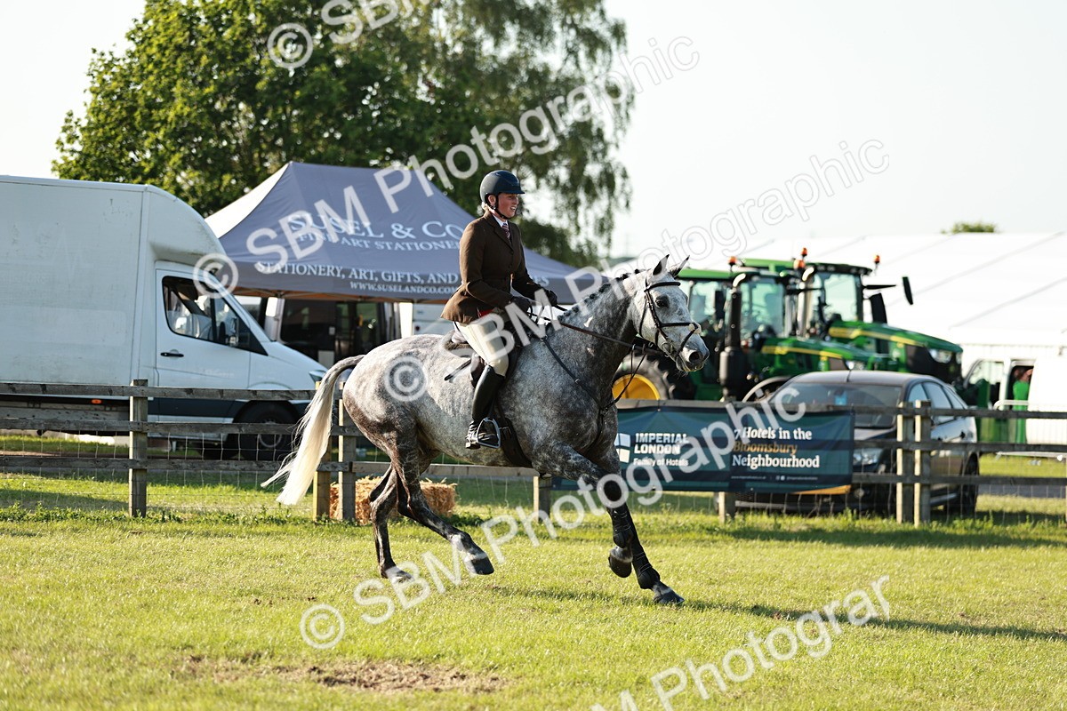 SBM_20349 - Class 117-119 - Sport Horse Working Hunter