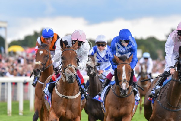 260823-Race 4-Absurde-0928 - Race 4 Sky Bet Ebor Handicap