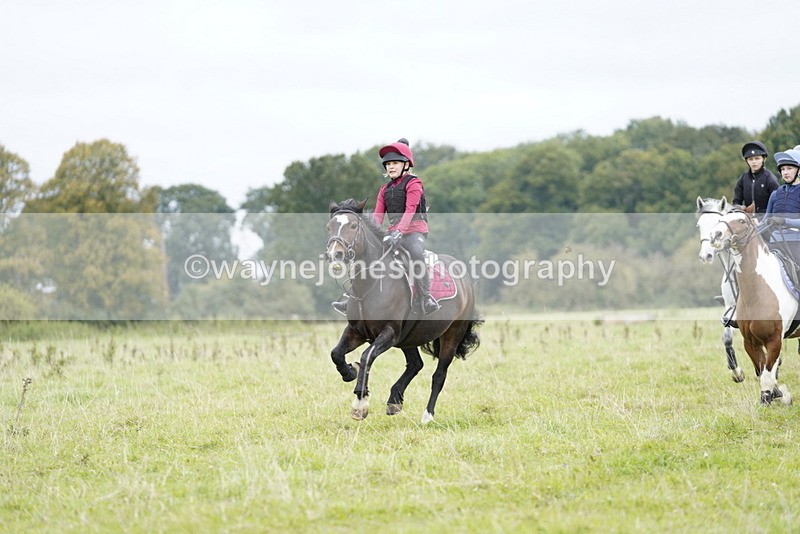 _DSC7206 - Time at Photographer 10:43 to 11:19