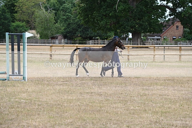WJ6_8543 - Class 10 Coloured in Hand