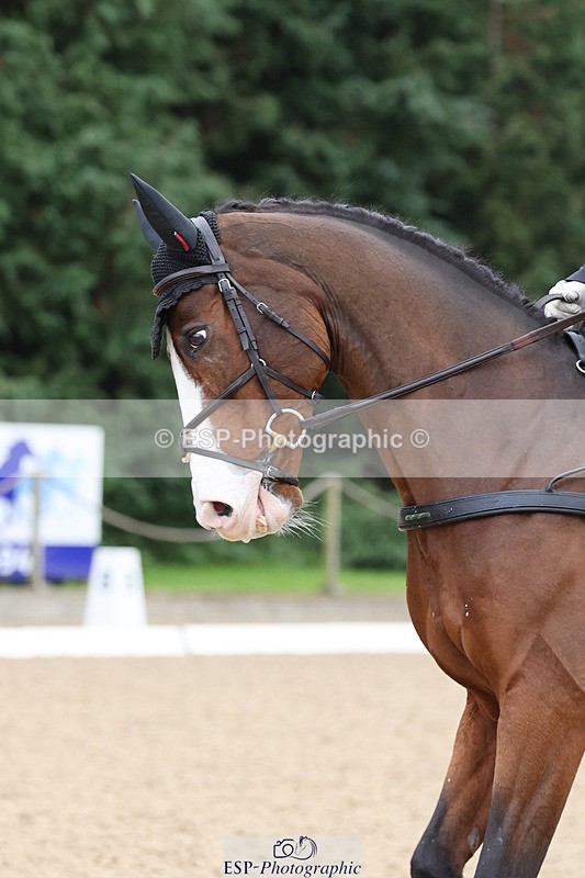 241024-094933-01346 - 209-Matthew.Heath-ASKARI