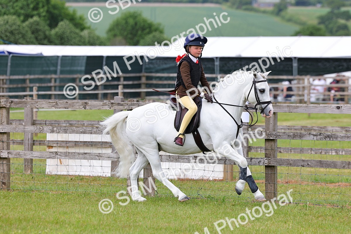 SBM_09561 - Class 44-45 - LIHS BSPS Open Nursery and Cradle Stakes