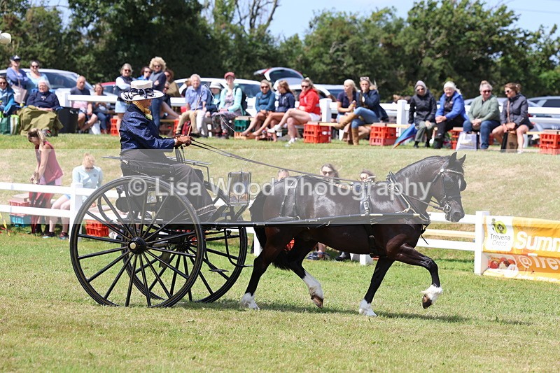 3E7A2692 - Class 12: Open Driving