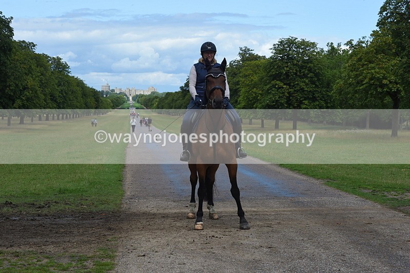 TT3_0247 - Time at Crossing 13:17 to 14:48