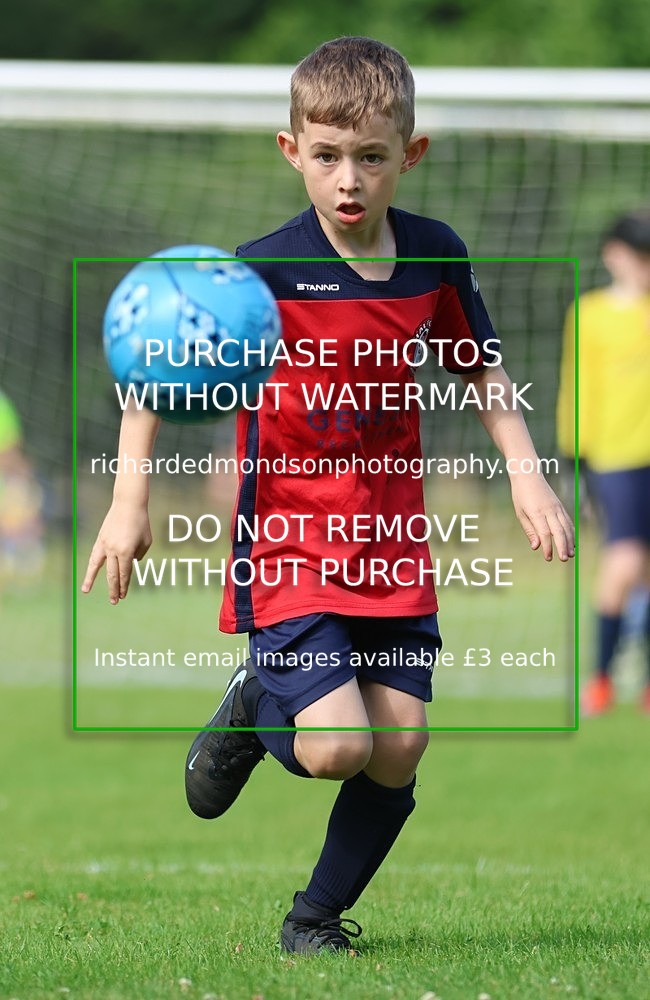 533A2310 - Halton U8