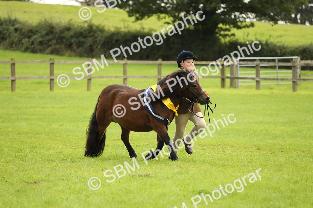 SBM_75419 - Equitation Supreme Championship