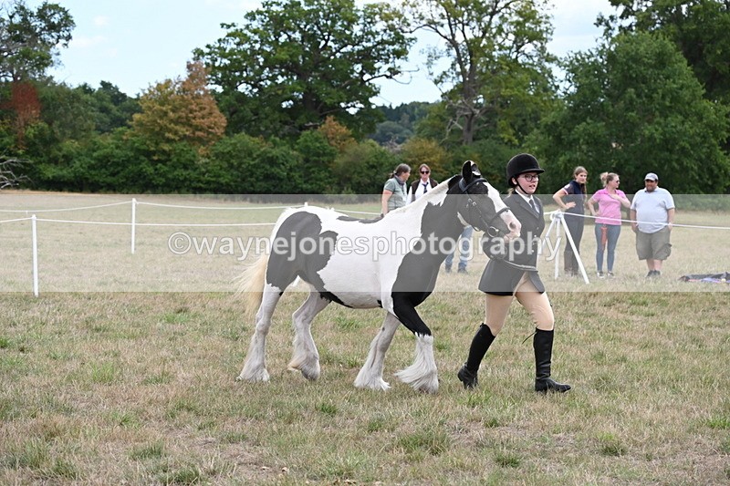 WJ6_5716 - Class 18 In-hand Coloured