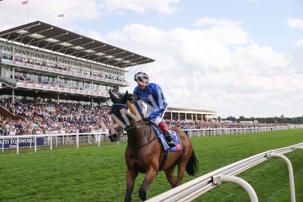 yr20082022r4-224 - Race 4 3.35pm Sky Bet Ebor