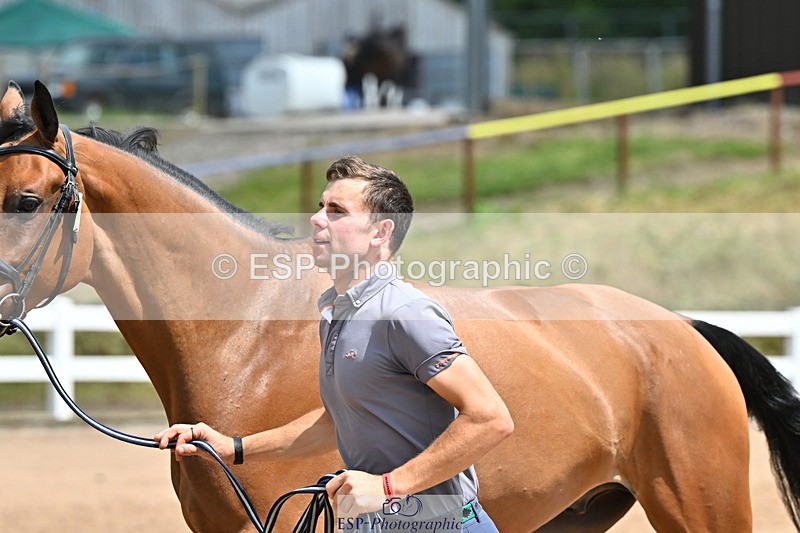 240718A-105305-01546 - Trot Up 1pm to 2pm