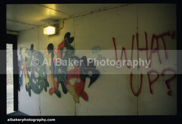 Cd10 - Graffiti Gallery (7)