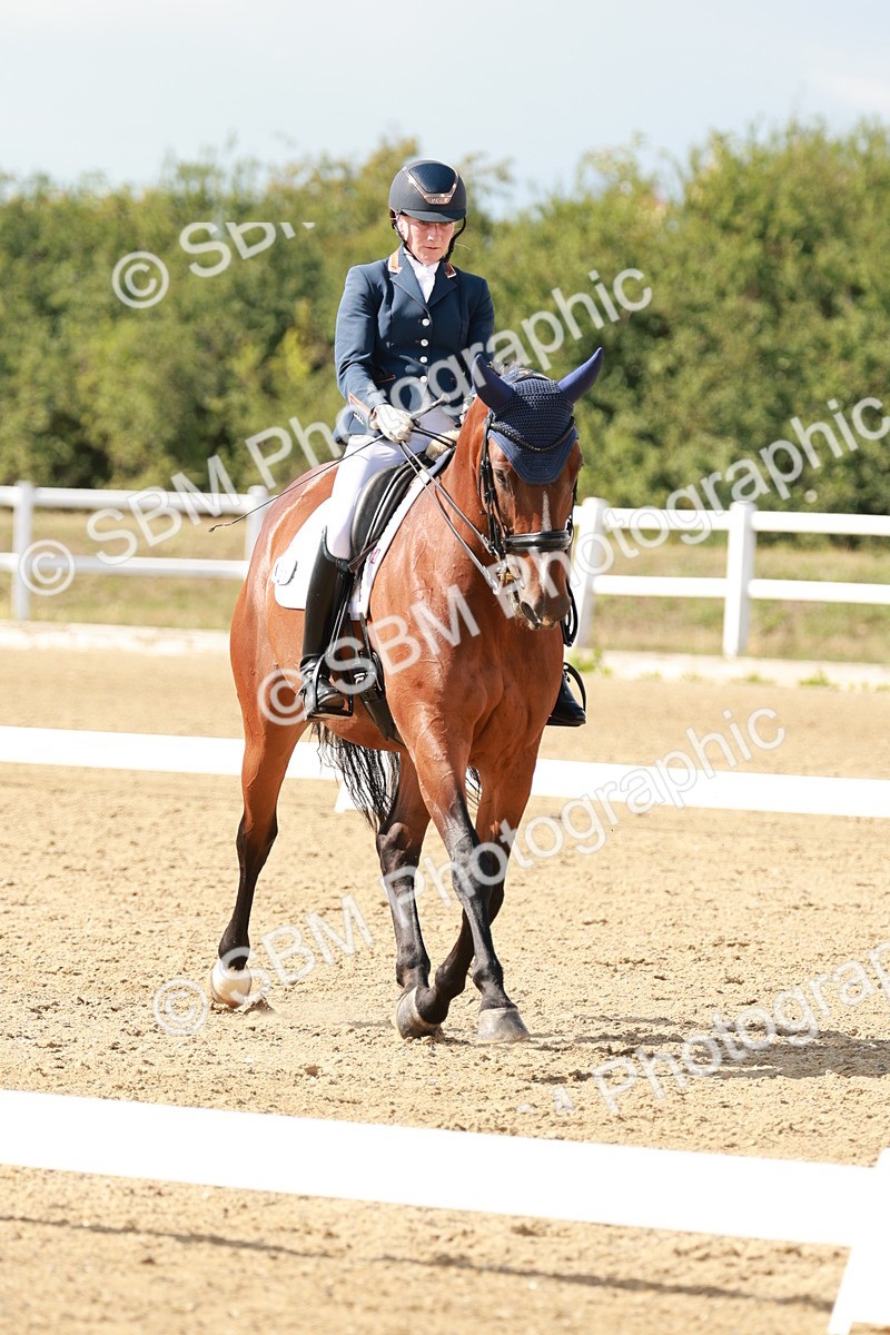 SBM_002523 - Class 11 - Medium 6