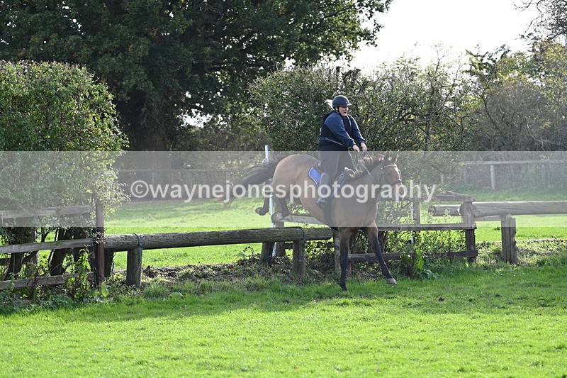 WJ7_0923 - Time 14:27 to 15:11