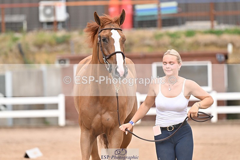 250716-163025-02651 - Trot Up 4.30 to 5.00