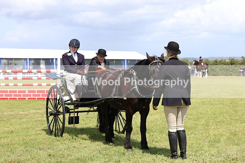 3E7A2803 - Class 12: Open Driving