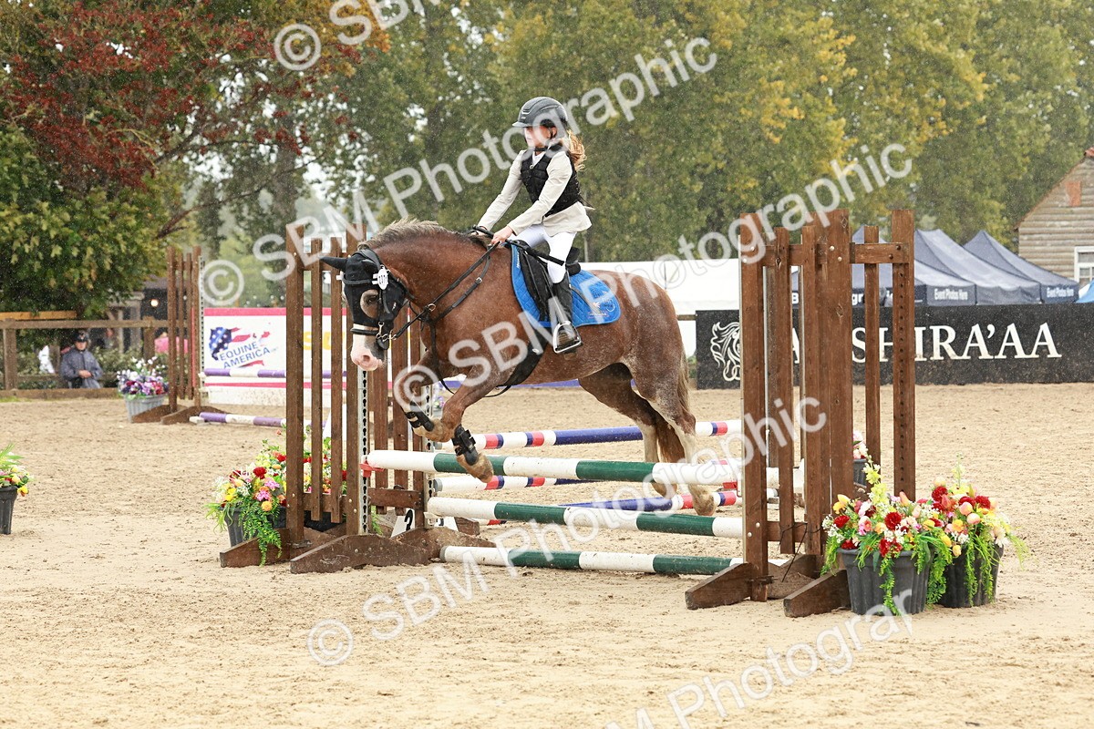 SBM_69351 - J13 - Junior Pony 60cm Championship