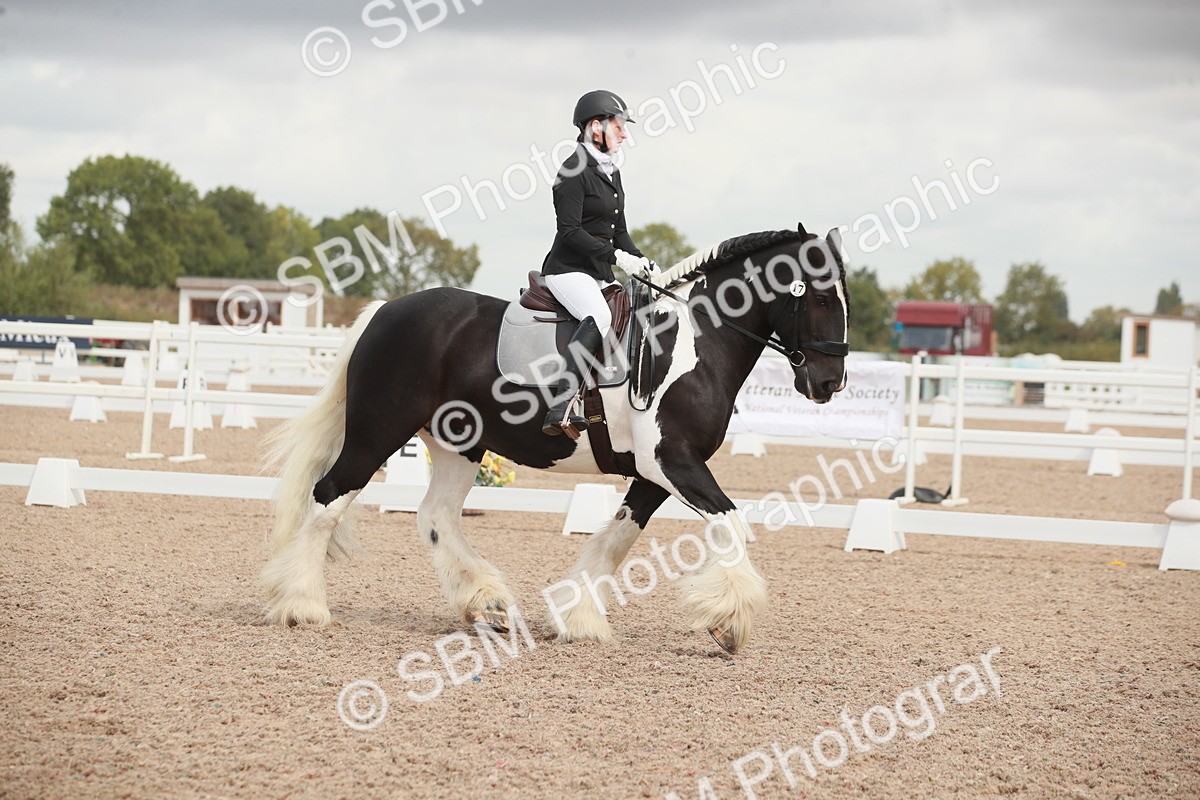 SBM_03820 - Class 31 - Prelim 1