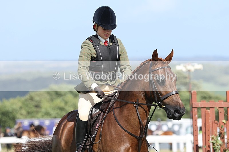 JPP_2537 - Class 20: Working Hunter 70cm