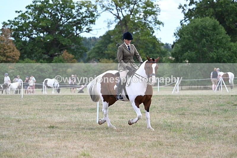 WJ7_5174 - Class 12 Ridden Cob