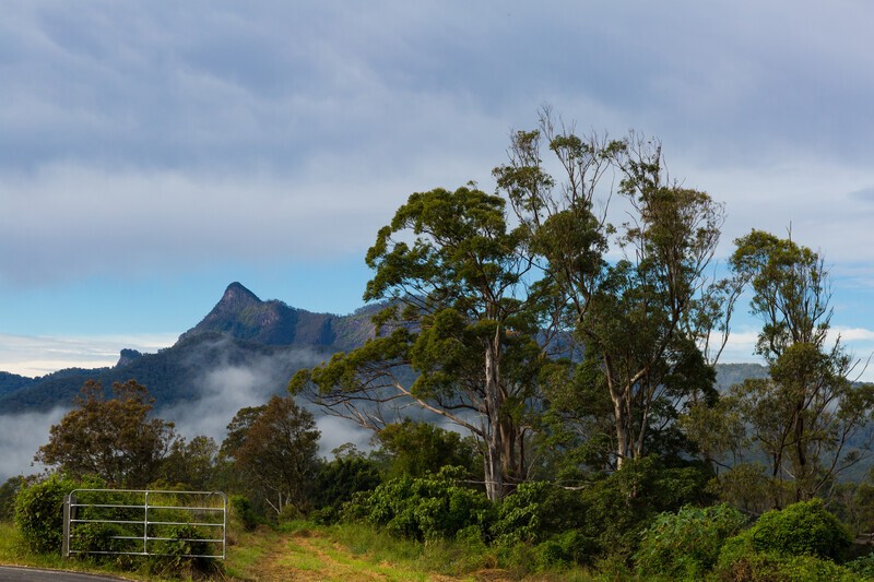 Mt Warning from old Tyalgum tip site park 5 - Mt Warning