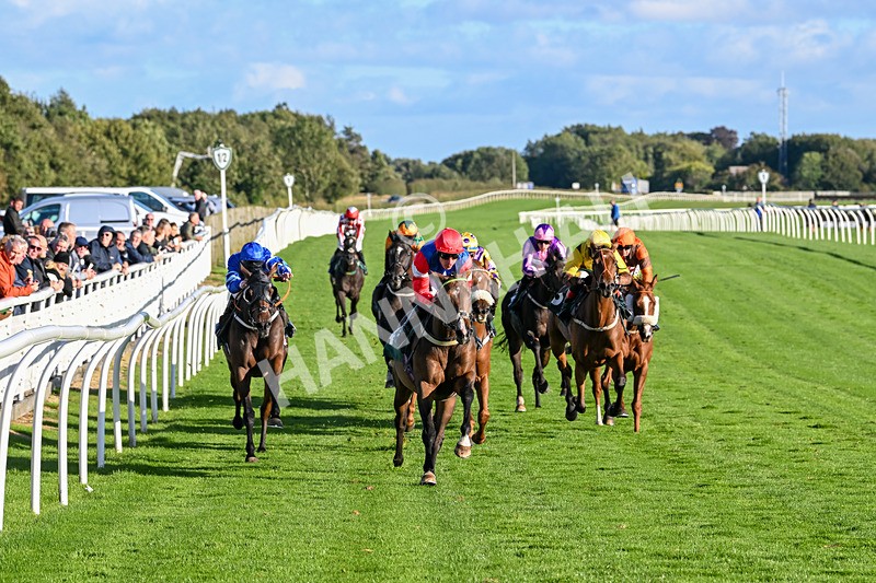 100924-Race 7-Desert Dream-0688 - Race 7