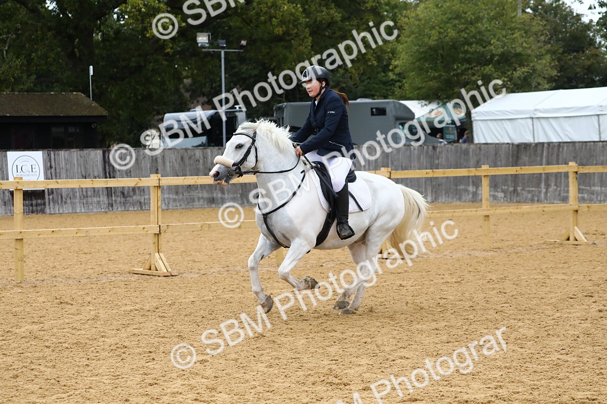 SBM_60096 - J63 - Junior Pony 50cm Championship