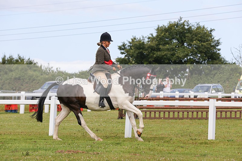 1X9A3087 - Class 26: Ridden Plaited Coloured Pony