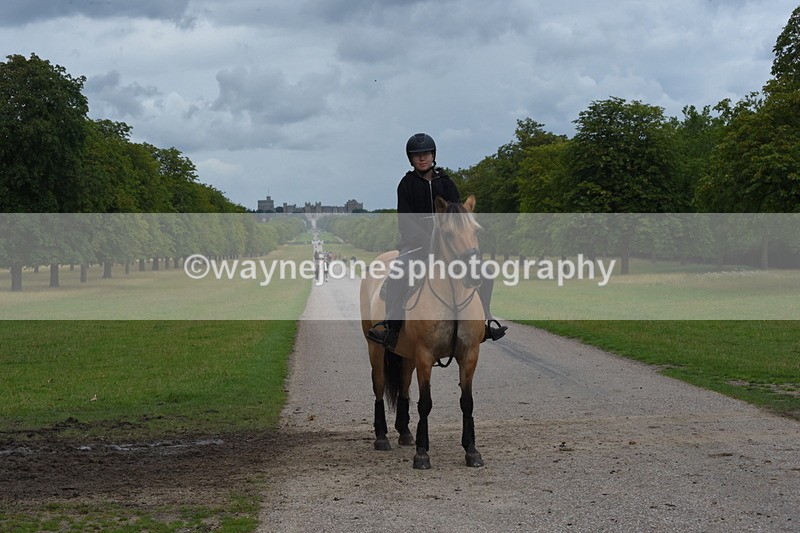 TT3_9871 - Time at Crossing 11:28 to 13:16