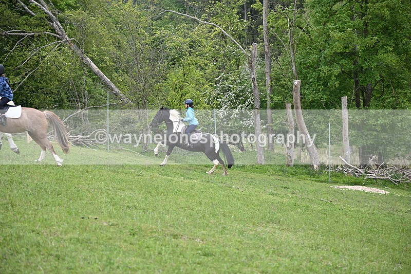 WJ6_3060 - A Camera