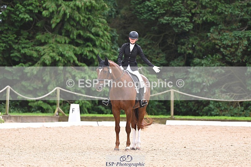 240809-122020-00747 - 185-Daisy.Hedges-Felicia.v