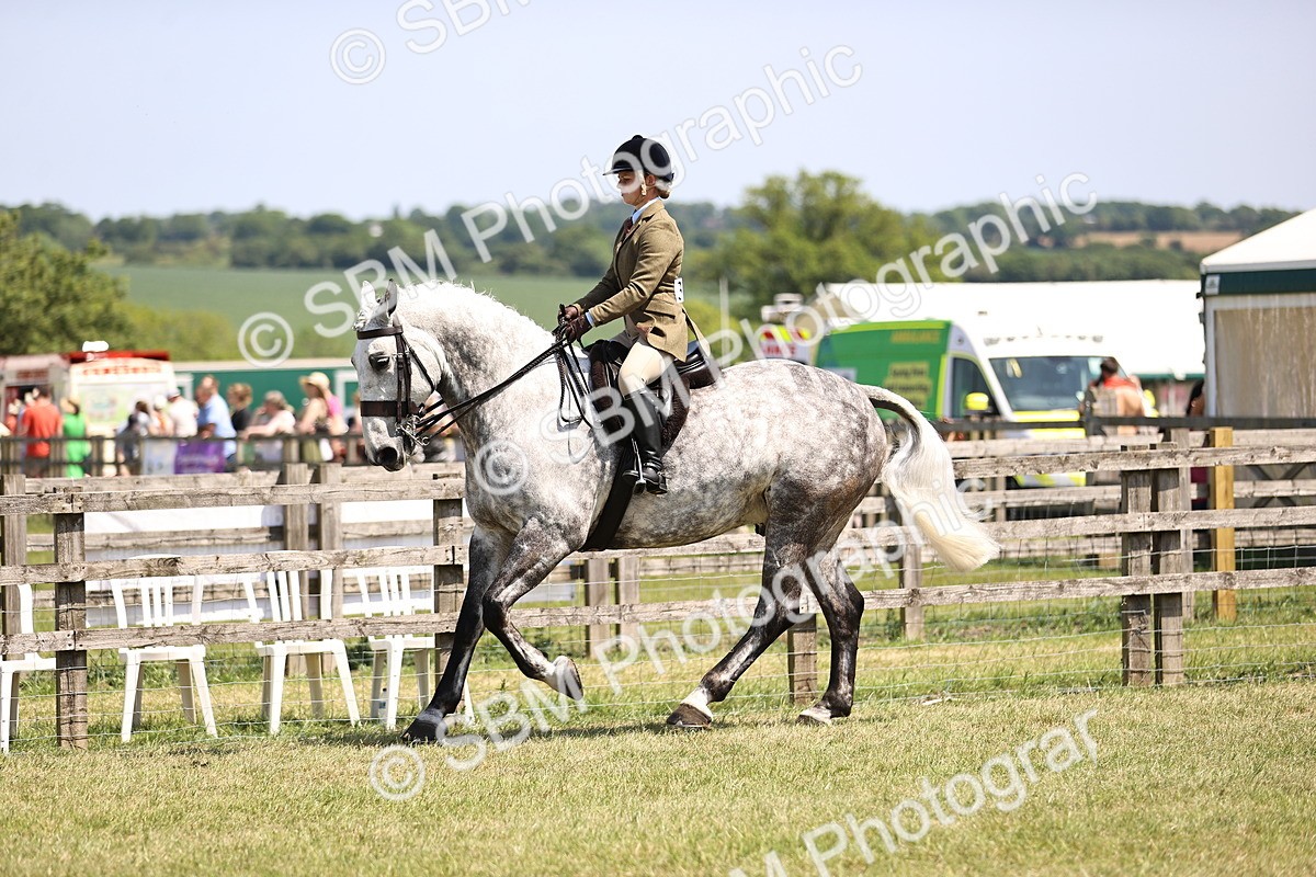 SBM_16109 - Class 79-80 - LIHS BSHA Rising Star Ridden Hunter