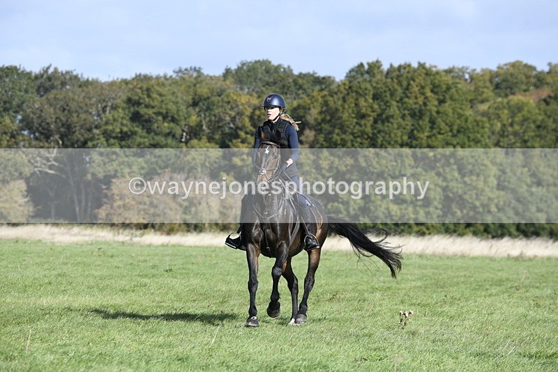 _DSC5482 - Time 10:49 to 11:23