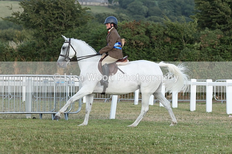 JPP_3725 - Class 24: Open Working Hunter