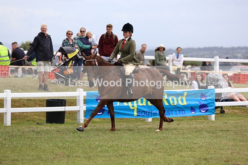 3E7A1013 - Class 8: Open Riding Horse/Hack