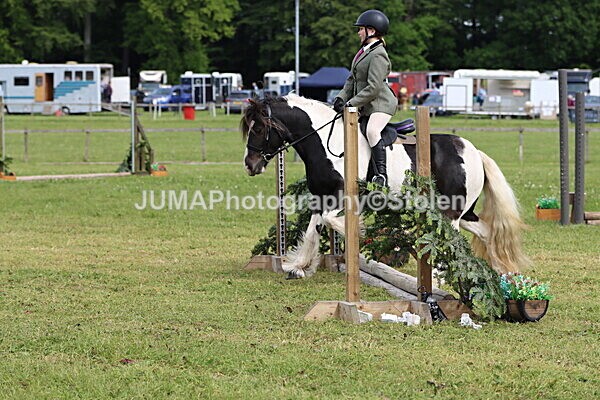 IMG_2379 - Working Hunter