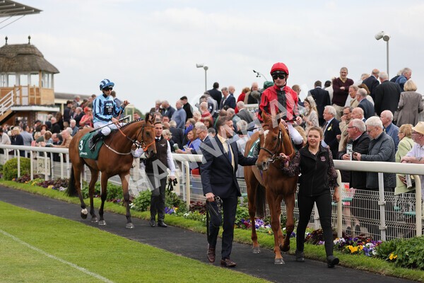yr13052022r4-33 - Race 4 3.35pm The Paddy Power Yorkshire Cup (British Champions Series Race)