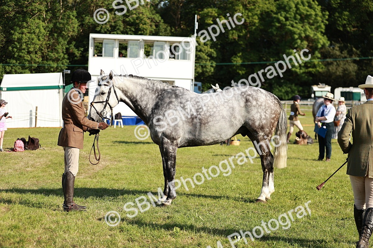 SBM_20016 - Class 115-116 - LIHS BSHA Rising Star Working Hunter & Show Horse