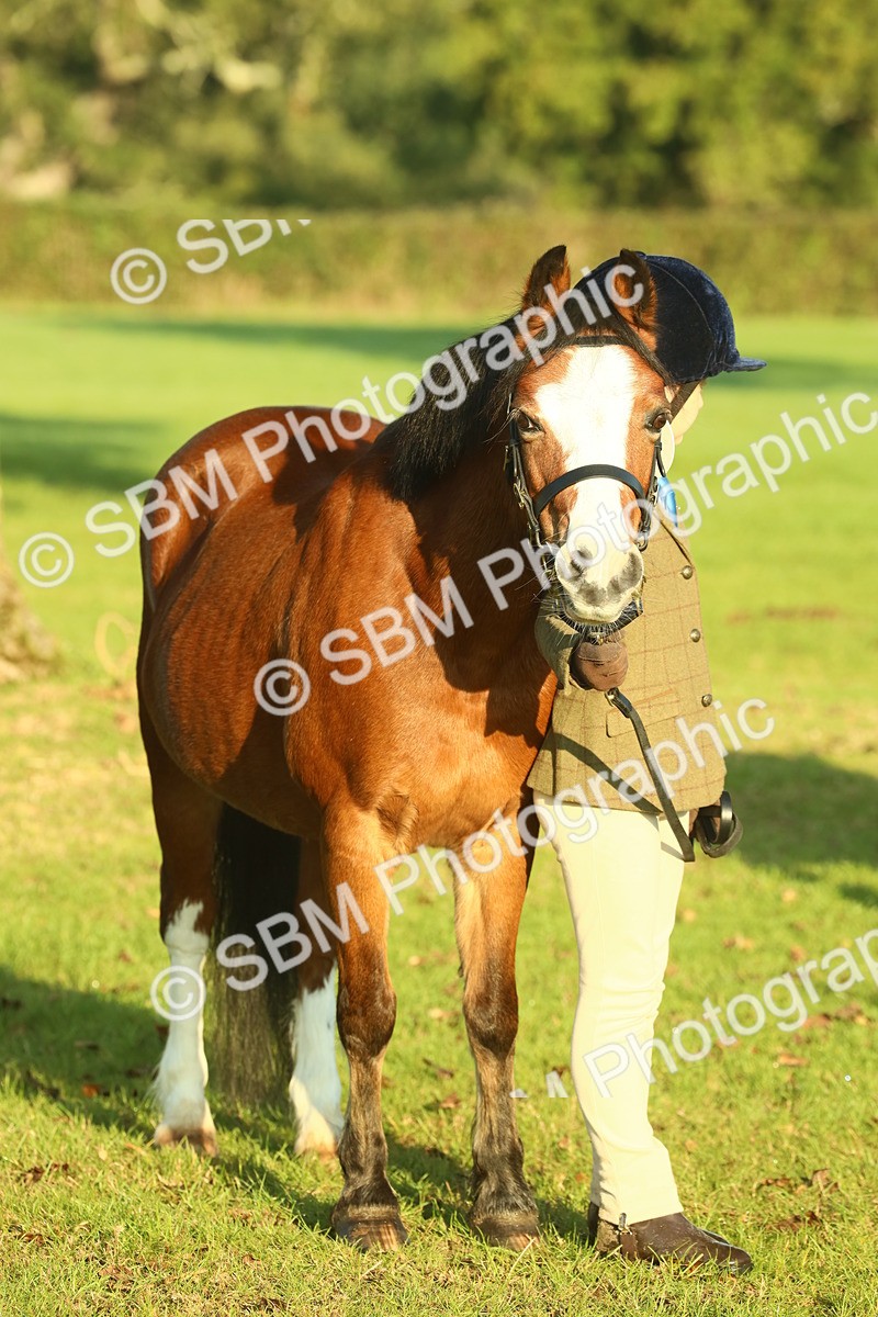 SBM_56693 - S36 - Starters Best Turnout