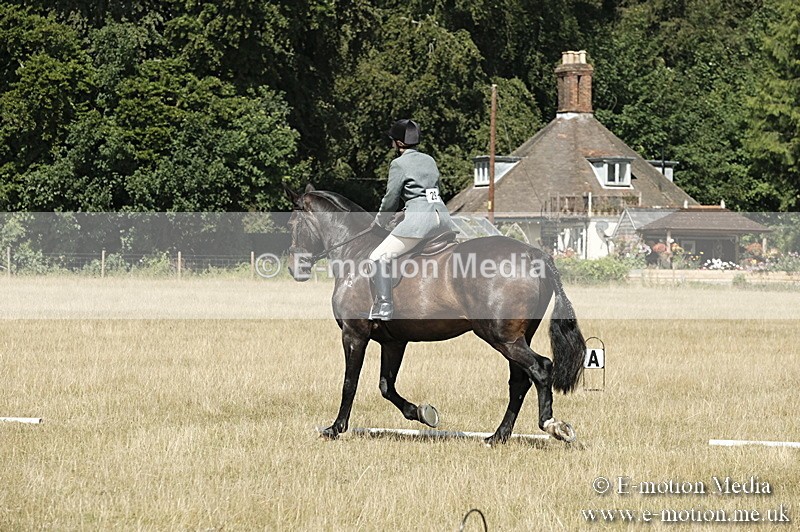 _PJP5821 - Dressage Classes BVRC Show 2018