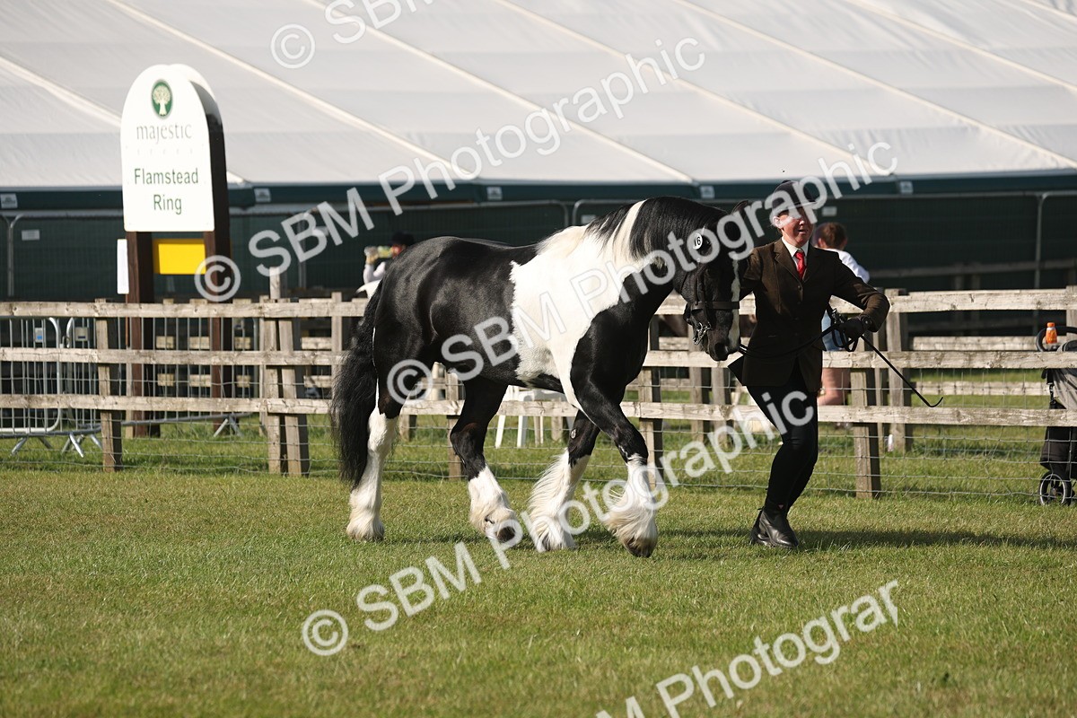 SBM_10321 - Class 33-38 - SSADL RIHS Qualifiers