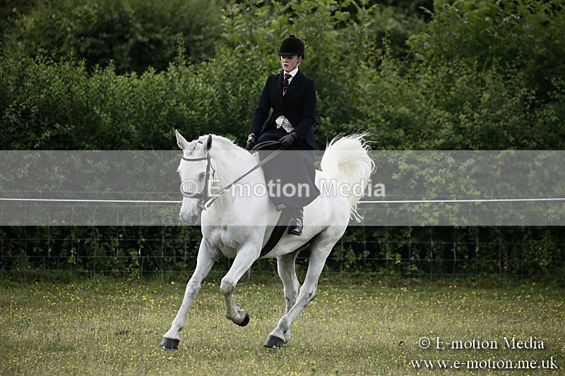 BVR160717-1652 - Side Saddle Classes 16/07/17