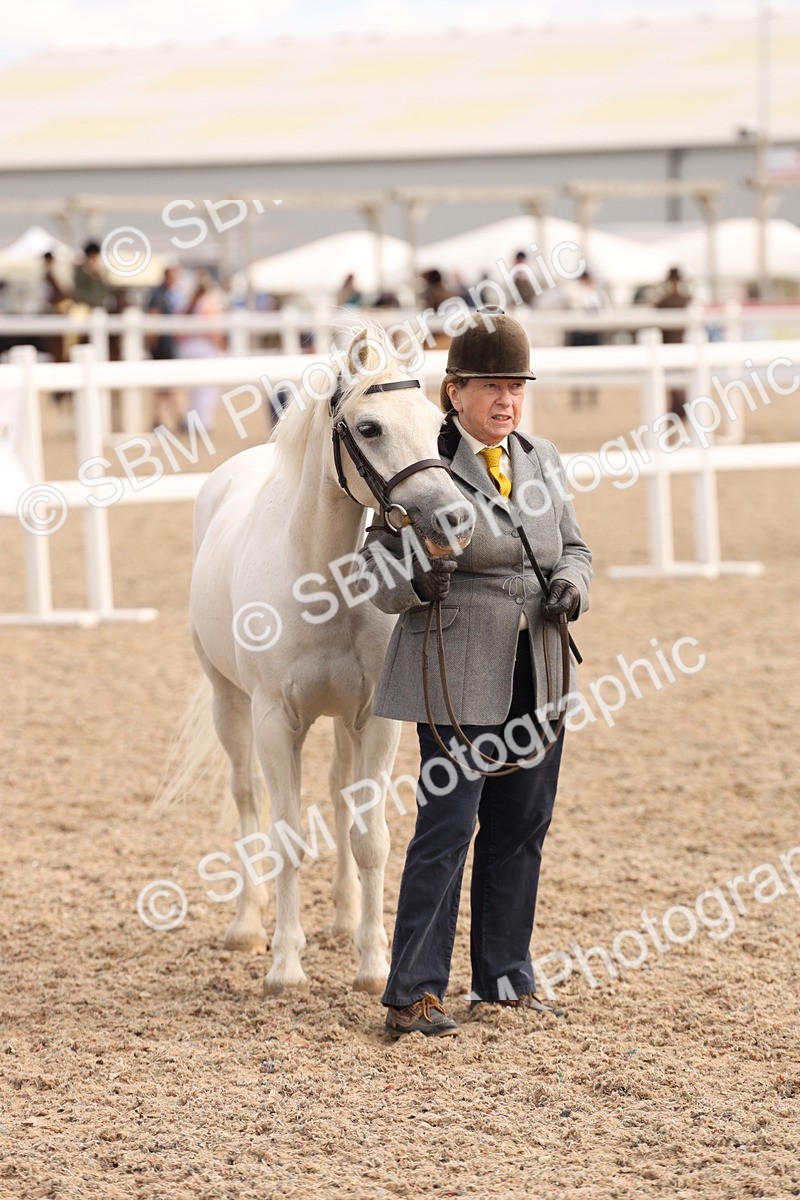 SBM_15129 - Class 209 - IH Veteran Pony