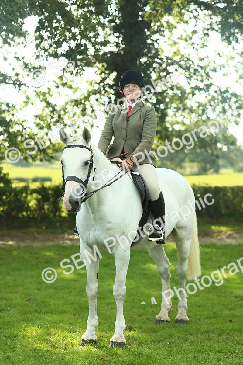 SBM_52184 - S33 - Working Hunter & Working Show Horse