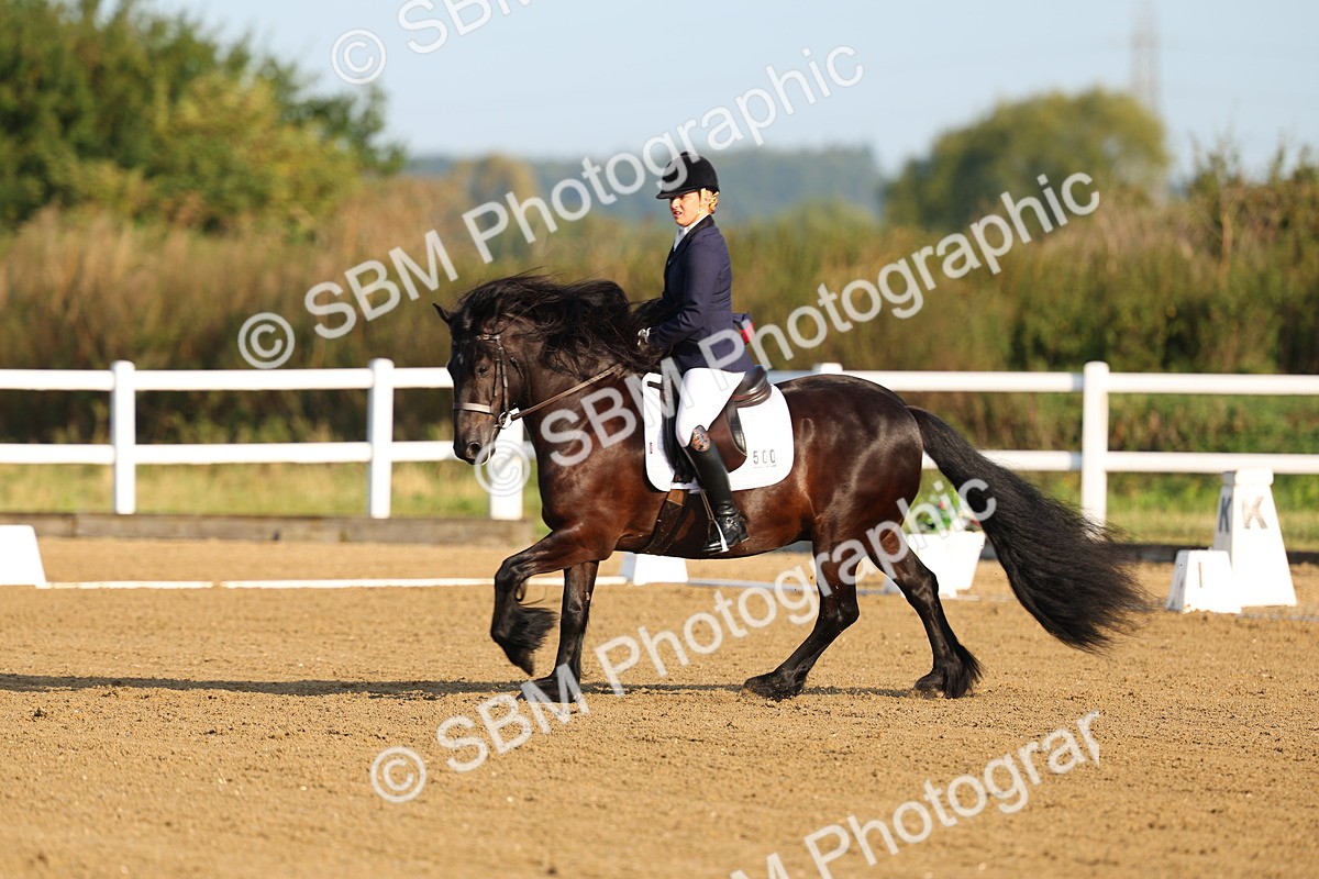 SBM_010002_Class 1 - Prelim 19 - 802-905 - Cart - Amy