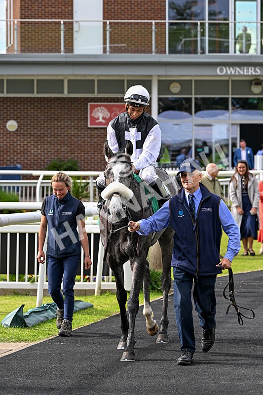 050626-Race 7-Daizen-3901 - Race 7 17.20pm Next Meeting Tuesday 16th June Featuring Royal Ascot Handicap