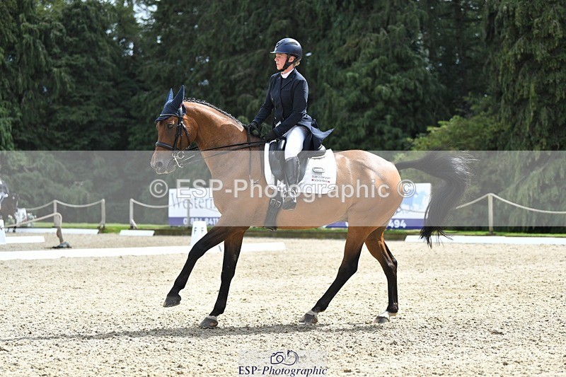 230812-135449-04547 - Cls 7 FEI PSG Bronze